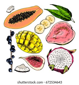 Vector hand drawn exotic fruits. Engraved smoothie bowl ingredients. Colored icon set. Tropical sweet food. Fig, mango, pitaya, banana, acai, guava, coconut. Use for exotic restaurant food party