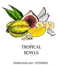 Vector hand drawn exotic fruits. Engraved smoothie bowl ingredients. colored icons. Tropical sweet food. Carambola, fig, mango, pitahaya, banana, coconut. Use for exotic restaurant food party