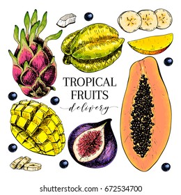 Vector hand drawn exotic fruits. Engraved smoothie bowl ingredients. Colored icon set. Tropical sweet food. Carambola, fig, mango, pitaya, banana, acai, coconut. Use for exotic restaurant food party