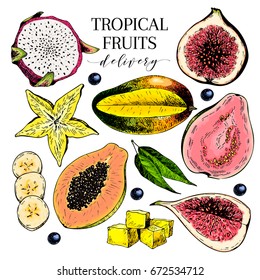 Vector Hand Drawn Exotic Fruits. Engraved Smoothie Bowl Ingredients. Colored Icon Set. Tropical Sweet Food. Carambola, Fig, Mango, Pitaya, Banana, Acai, Guava. Use For Exotic Restaurant Food Party