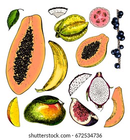 Vector hand drawn exotic fruits. Engraved smoothie bowl ingredients. Colored icon set. Tropical sweet food. Carambola, fig, mango, pitaya, banana, acai, guava, coconut exotic restaurant food party