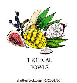 Vector hand drawn exotic fruits. Engraved smoothie bowl ingredients. colored icons. Tropical sweet food. Fig, acai berry, mango, pitahaya, coconut. Use for exotic restaurant food, party