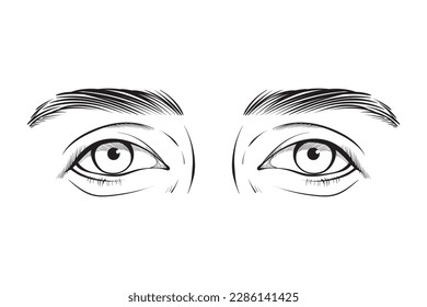 vector hand drawn eye expression line art illustration