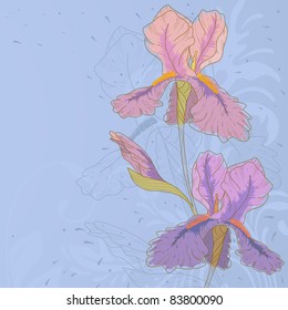 Vector hand drawn fantasy iris.