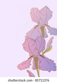 Vector hand drawn fantasy iris.