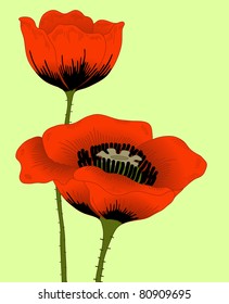 Vector hand drawn fantasy poppies.