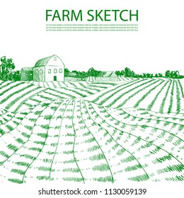 Vector Hand Drawn Farm Field Illustration, Green Lines Engrave Style Drawing Background.