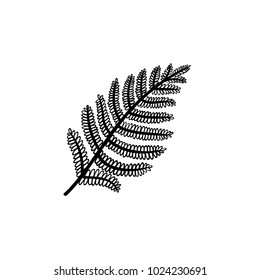 Icono del doodle de la hoja de hierro dibujado a mano del vector. Dibujo de bosquejo de hojas de Fern para impresión, web, móvil e infografía aislados en fondo blanco.