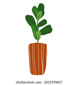 Vector hand drawn ficus clip art isolated on white background. Ficus lyrata in a pot illustration. House plant clipart.