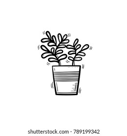 Vector hand drawn ficus outline doodle icon. Decorative potted house plant sketch illustration for print, web, mobile and infographics isolated on white background.