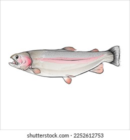 vector hand drawn fish line art watercolor style