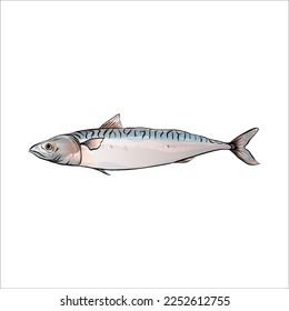 vector hand drawn fish line art watercolor style