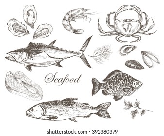 vector hand drawn fish and seafood set - trout, tuna, carp, salmon, oyster, mussel, crab, lobster