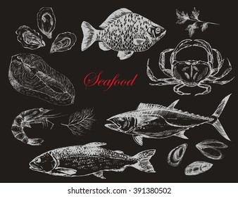 vector hand drawn fish and seafood set - trout, tuna, carp, salmon, oyster, mussel, crab, lobster