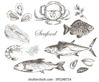 vector hand drawn fish and seafood set - trout, tuna, carp, salmon, oyster, mussel, crab, lobster