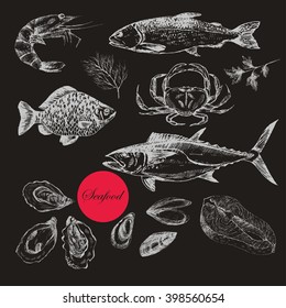 vector hand drawn fish and seafood set - trout, tuna, carp, salmon, oyster, mussel, crab, lobster