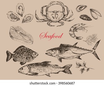 vector hand drawn fish and seafood set - trout, tuna, carp, salmon, oyster, mussel, crab, lobster