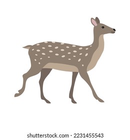 Vector hand drawn flat deer isolated on white background