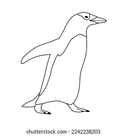 Vector hand drawn flat outline penguin isolated on white background