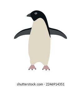 Vector hand drawn flat penguin isolated on white background