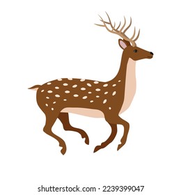 Vector hand drawn flat running deer isolated on white background