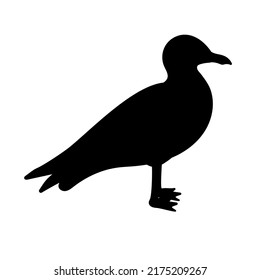 Vector hand drawn flat seagull silhouette isolated on white background