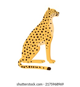 Vector hand drawn flat sitting cheetah isolated on white background