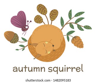 Vector hand drawn flat sleeping squirrel with acorn, cone, insect, leaves. Funny autumn scene with woodland animal. Cute forest animalistic illustration for children’s design, print, stationery