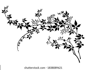 Vector hand drawn floral bunch