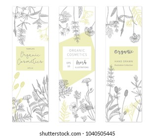 Vector hand drawn floral cards and banners. Elegant hand sketched flower drawing. Vintage hipster herb templates and flyers. Natural organic cosmetics packaging design.