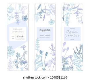 Vector hand drawn floral cards and banners. Elegant hand sketched flower drawing. Vintage hipster herb templates and flyers. Natural organic cosmetics packaging design.