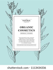 Vector hand drawn floral cards and banners. Botanical hand drawn illustration. Vintage hipster herb templates. Natural organic cosmetics packaging design.