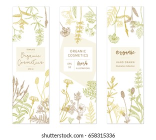 Vector hand drawn floral cards and banners. Elegant hand sketched flower drawing. Vintage hipster herb templates and flyers. Natural organic cosmetics packaging design.