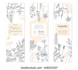 Vector hand drawn floral cards and banners. Elegant hand sketched flower drawing. Vintage hipster herb templates and flyers. Natural organic cosmetics packaging design.