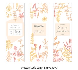 Vector hand drawn floral cards and banners. Elegant hand sketched flower drawing. Vintage hipster herb templates and flyers. Natural organic cosmetics packaging design.