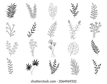 Vector hand drawn floral elements for decoration. Plants, branches, flowers and leaves. Perfect for clothing prints, social networks design, greeting cards, icons, decoration