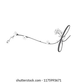 Vektorillustration Handgezeichnet florales F-Monogramm oder Logo. Kleinere Handschrift f mit Blumen und Zweigen. Wildblumen. Blumendesign