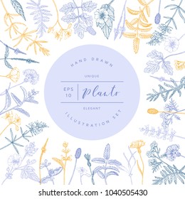 Vector hand drawn floral frame or banner. Elegant hand sketched flower drawing. Vintage hipster herb template for organic natural cosmetics packaging design.