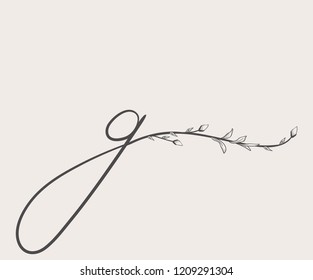 Vector Hand Drawn floral G monogram or logo. Lowercase Hand Lettering Letter g with Flowers and Branches. Wildflowers. Floral Design