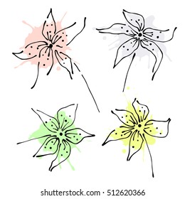 Vector hand drawn floral illustration. Decorative graphic vector drawn flowers.