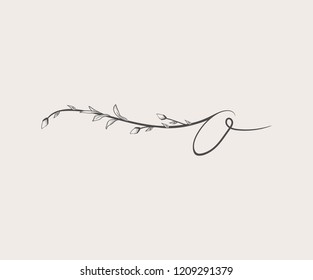 Vector Hand Drawn floral O monogram or logo. Lowercase Hand Lettering Letter o with Flowers and Branches. Wildflowers. Floral Design
