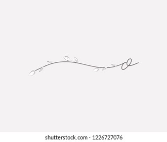 Vector Hand Drawn floral O monogram or logo. Lowercase Hand Lettering Letter O with Flowers and Branches. Wildflowers. Floral Design