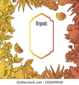 Vector hand drawn floral organic frame in engraving style with fruit, flowers and leaves. Vintage illustration for invitations, eco products, packages. 