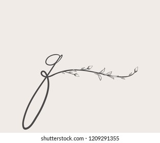 Vector Hand Drawn floral Q monogram or logo. Lowercase Hand Lettering Letter q with Flowers and Branches. Wildflowers. Floral Design. Feminine brand logo and monogram