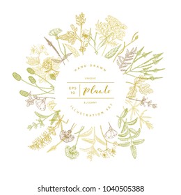 Vector hand drawn floral round banner. Elegant hand sketched flower drawing. Vintage hipster herb template for organic natural cosmetics packaging design.