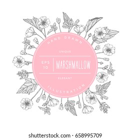 Vector hand drawn floral round banner. Elegant hand sketched marshmallow flower drawing. Vintage hipster herb template for organic natural cosmetics packaging design.