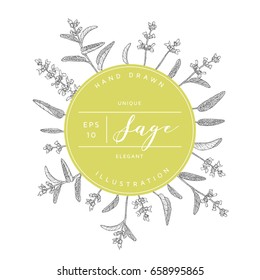 Vector hand drawn floral round banner. Elegant hand sketched sage flower drawing. Vintage hipster herb template for organic natural cosmetics packaging design.