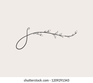 Vector Hand Drawn floral S monogram or logo. Lowercase Hand Lettering Letter s with Flowers and Branches. Wildflowers. Floral Design. Feminine brand logo and monogram