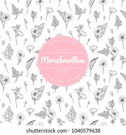 Vector hand drawn floral seamless pattern and backdrop. Elegant hand sketched marshmallow flower drawing. Vintage hipster herbal background. Natural organic cosmetics wrapping paper design.
