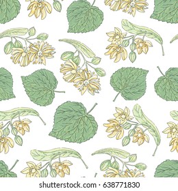 Vector  hand drawn floral seamless pattern. Illustration of lime-tree flowers and leaves